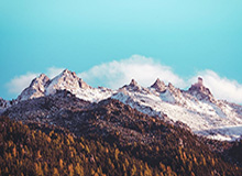 中超联赛免费视频直播观看-LPL赛事官方：Bin国际赛事招牌英雄胜率