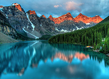 中超联赛免费视频直播观看-LPL赛事官方：Bin国际赛事招牌英雄胜率